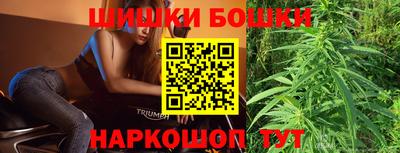 мдпв Славгород