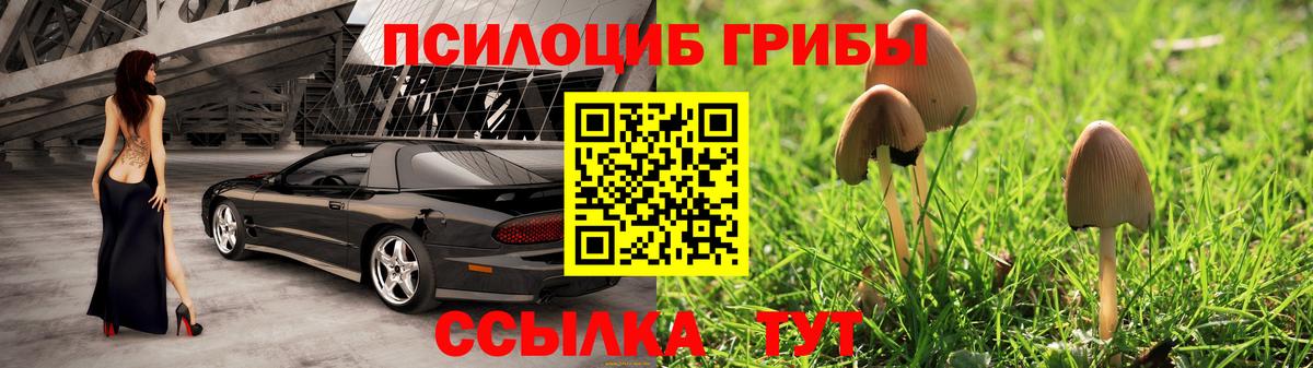 Галлюциногенные грибы Psilocybine cubensis  Вход с VPN  Саянск 